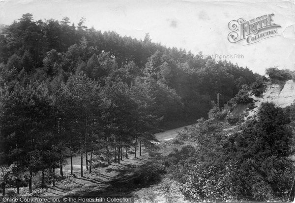Photo of South Godstone, Tilburstow Hill, The Plantation 1908