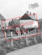 Culvers c.1955, South Harting