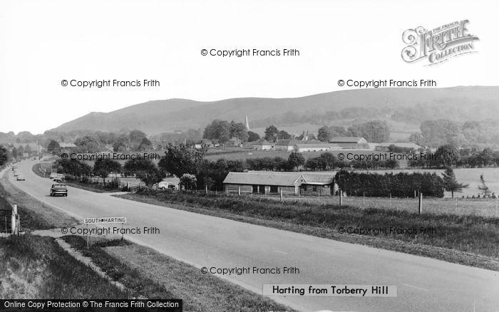 Photo of South Harting, From Torberry Hill c.1955