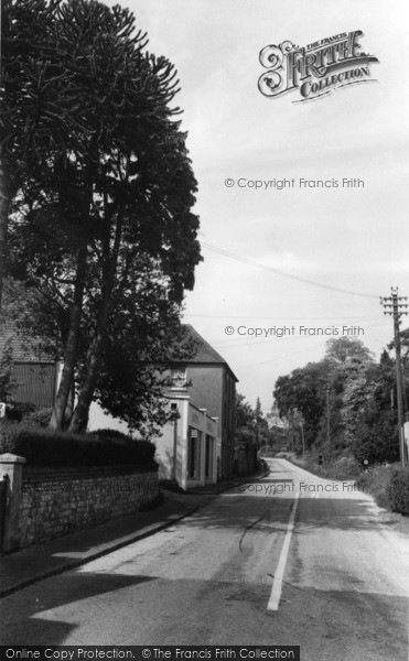 Photo of South Harting, North Lane c.1960