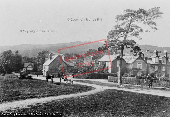 Photo of South Holmwood, 1906