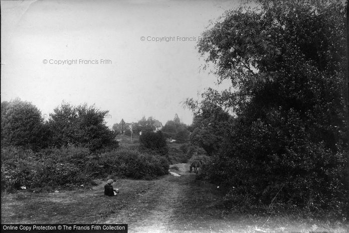 Photo of South Holmwood, 1906