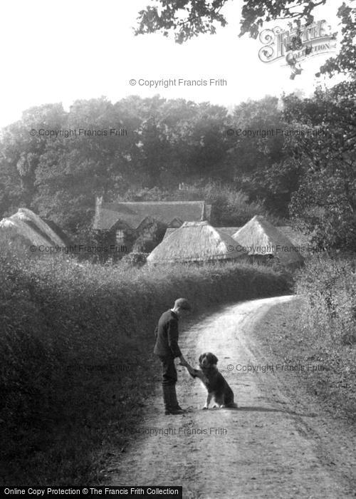 Photo of South Holmwood, Boy And Dog 1906