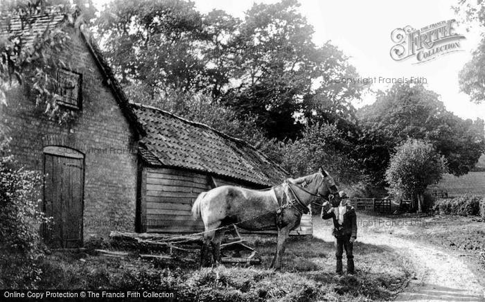 Photo of South Holmwood, Farmhorse And Worker 1906