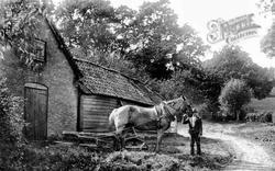 Farmhorse And Worker 1906, South Holmwood