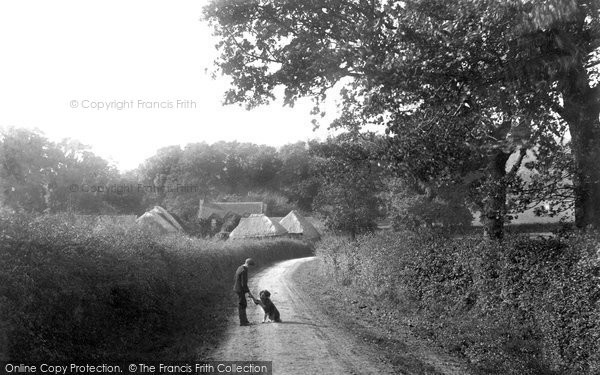 Photo of South Holmwood, Folly Farm Lane 1906