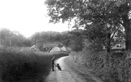 Folly Farm Lane 1906, South Holmwood