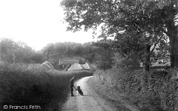 Folly Farm Lane 1906, South Holmwood