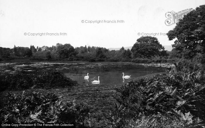 Photo of South Holmwood, Four Ways Pond 1904
