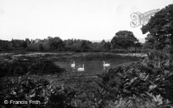 Four Ways Pond 1904, South Holmwood