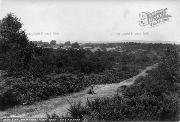 Photo of South Holmwood, On The Holmwood 1904