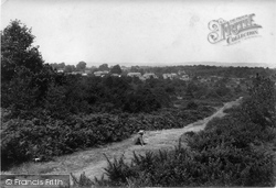 On The Holmwood 1904, South Holmwood