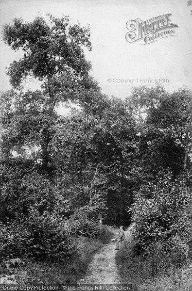 Photo of South Holmwood, Pathway To Cold Harbour 1904