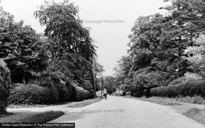 Photo of South Nutfield, The Avenue c.1960