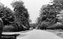 The Avenue c.1960, South Nutfield