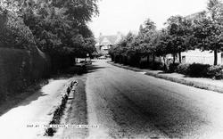 The Avenue c.1960, South Nutfield
