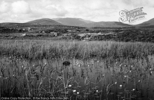 Photo of South Uist, Water Lilies 1963