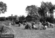 Broad, Harvest Scene 1902, South Walsham