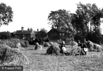 South Walsham, Broad, Harvest Scene 1902