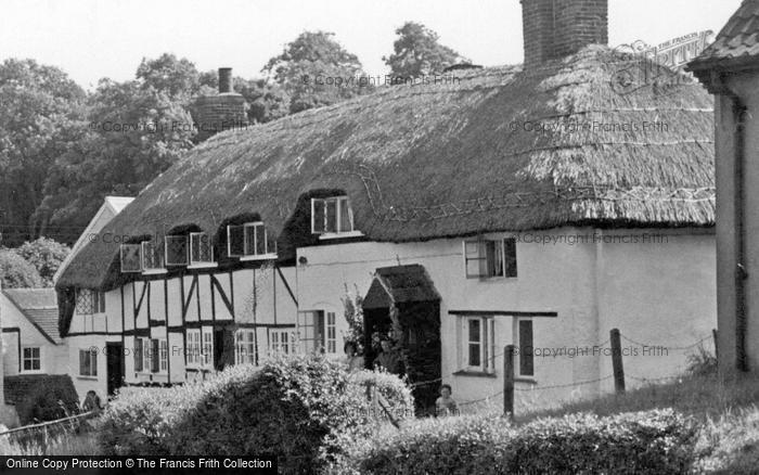 Photo of South Warnborough, Thatched Cottages c.1955