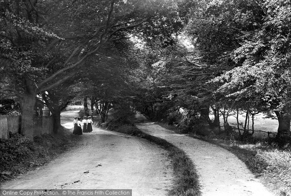 Photo of South Weald, Lane 1906