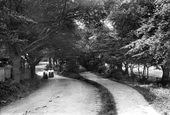 Lane 1906, South Weald