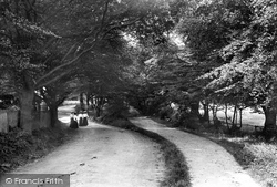 Lane 1906, South Weald