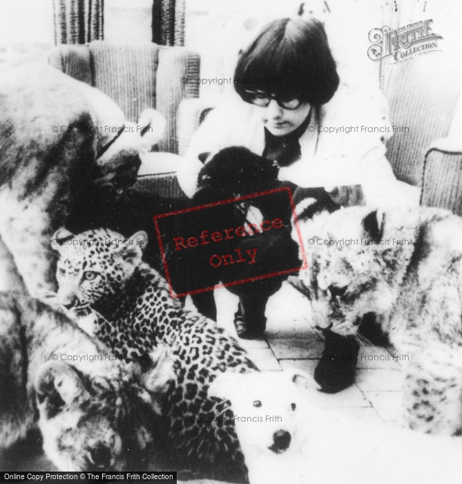 Photo of Southam, Zoo, Baby Animals c.1960