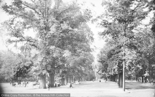 Photo of Southampton, The Avenue 1908
