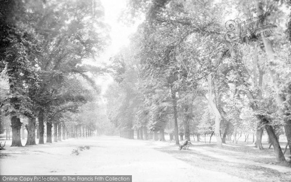 Photo of Southampton, The Avenue 1908