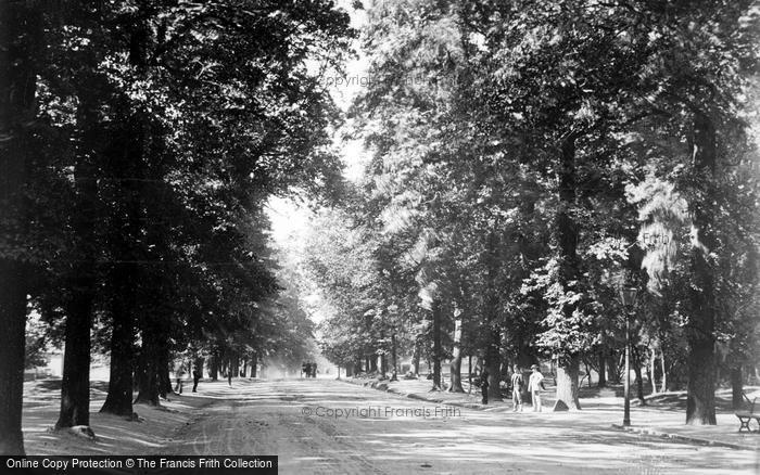 Photo of Southampton, The Avenue c.1893