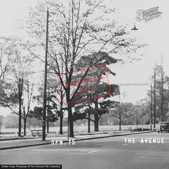 Photo of Southampton, The Avenue c.1955
