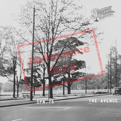 The Avenue c.1955, Southampton