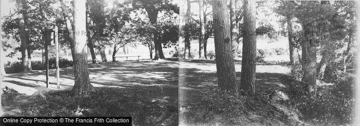 Photo of Southampton, The Common c.1893