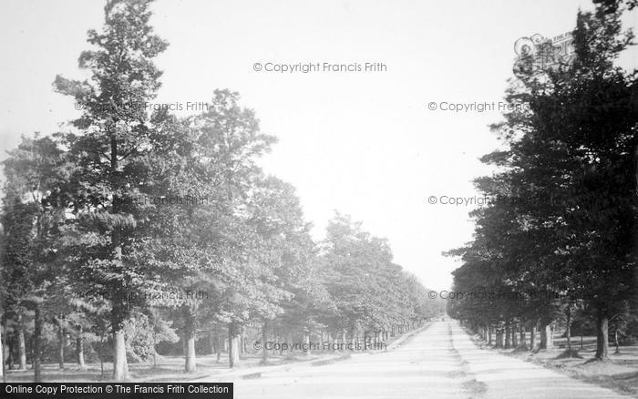 Photo of Southampton, Upper Avenue c.1893