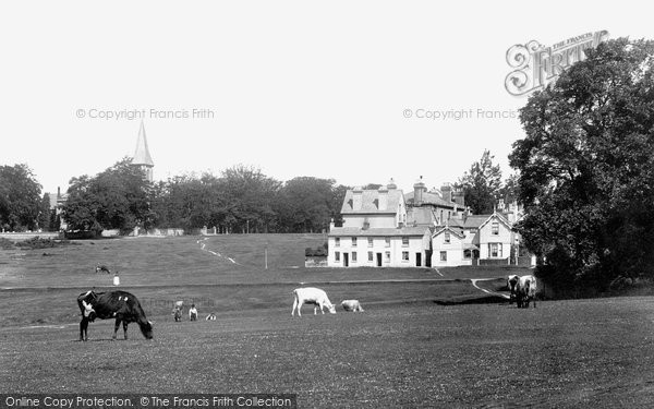 Photo of Southborough, St Peter's Church And Common 1896