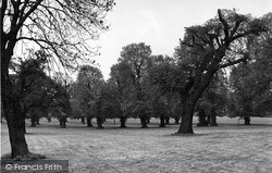 Broomfield Park c.1955, Southgate