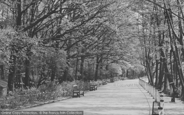 Photo of Southgate, Grovelands Park c.1955