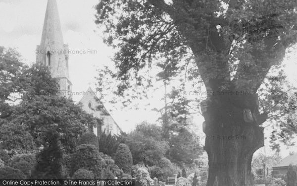 Photo of Southgate, Minchenden Oak c.1955