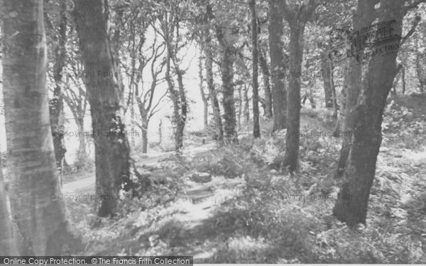 Photo of Southleigh, Blackberry Castle c.1955