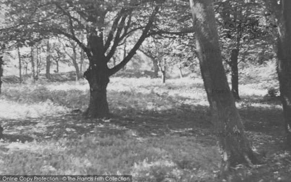 Photo of Southleigh, Blackbury Castle c.1955