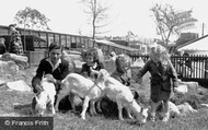 Children's Zoo c.1955, Southport