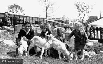 Southport, Children's Zoo c1955