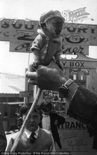 Photo of Southport, Children's Zoo, Tim The Baby Monkey c.1955