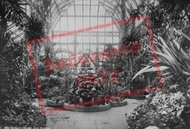 Churchdown Gardens Interior 1887, Southport
