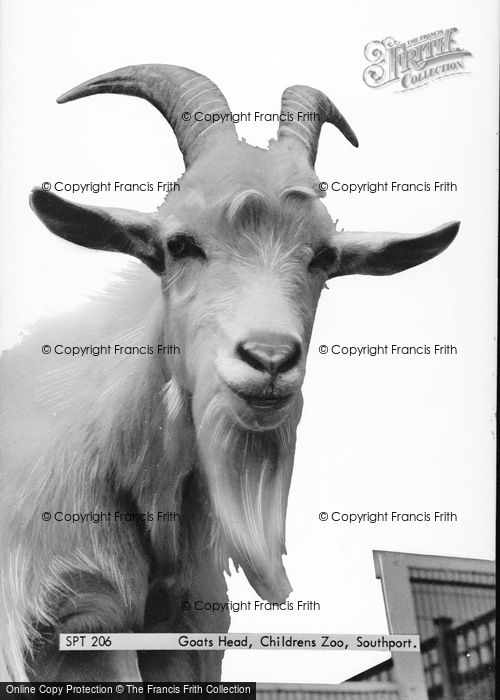 Photo of Southport, Goats Head, Children's Zoo c.1965