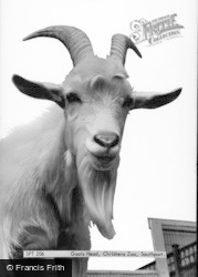 Goats Head, Children's Zoo c.1965, Southport