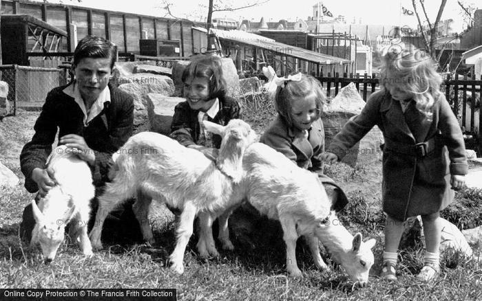 Photo of Southport, Petting The Goats, Children's Zoo c.1955