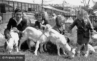 Petting The Goats, Children's Zoo c.1955, Southport