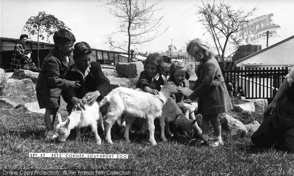 Photo of Southport, Zoo, Pets' Corner c.1955